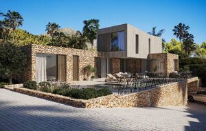 1real IMG