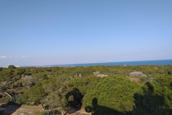 3-izb. Penthouse Na predaj, Alicante, Guardamar del Segura, Španielsko [SP1364]