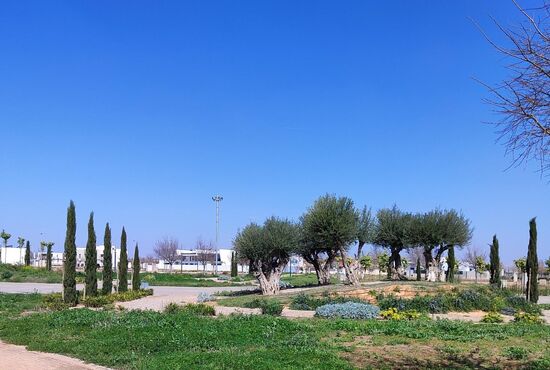 2-izb. Penthouse Na predaj, Murcia, Torre Pacheco, Španielsko [N7283]