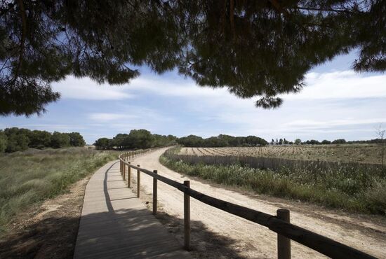 2-izb. Bungalov Na predaj, Alicante, Torrevieja, Španielsko [N8465]