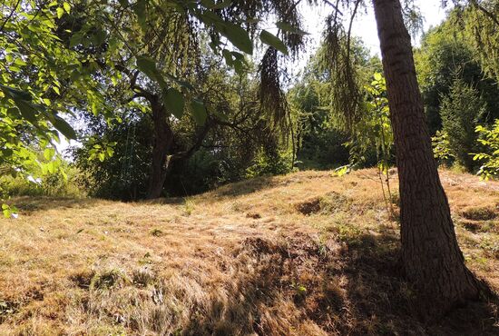 Chalupa, Nová Baňa [650]