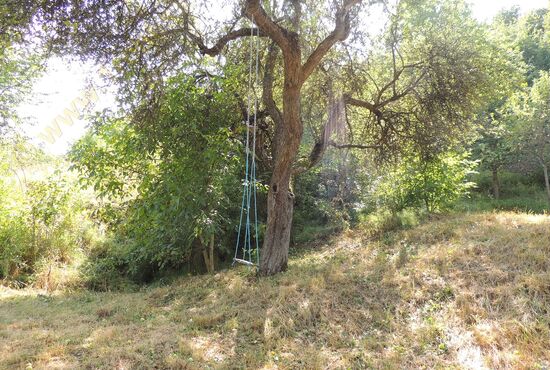 Chalupa, Nová Baňa [650]