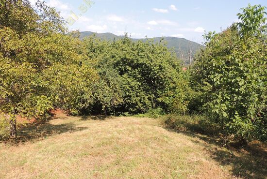 Chalupa, Nová Baňa [650]