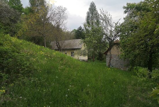 Chalupa, Nová Baňa [650]