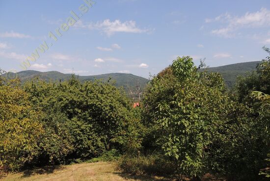 Chalupa, Nová Baňa [650]