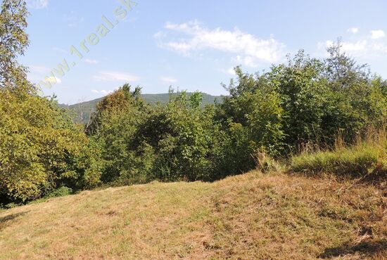 Chalupa, Nová Baňa [650]