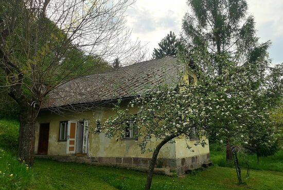 Chalupa, Nová Baňa [650]