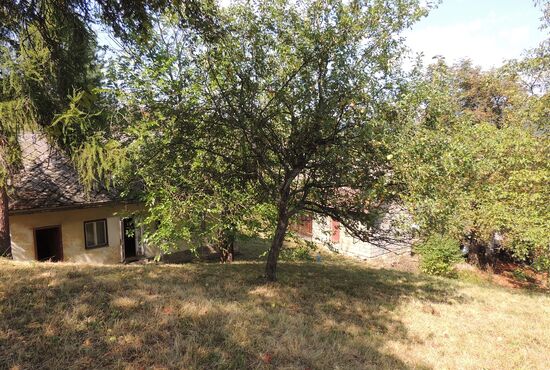 Chalupa, Nová Baňa [650]