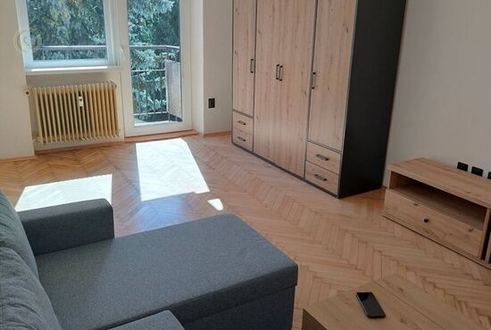 1-izbový byt, Banská Bystrica, Tr. SNP [758]