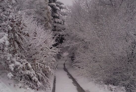 Pozemok, Banská Štiavnica, Banky - Hadová [517-3]