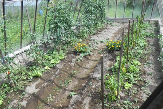 Rodinný dom, RD - Viacgeneračný, sídlisko, Banská Bystrica, Malachovská cesta [309]