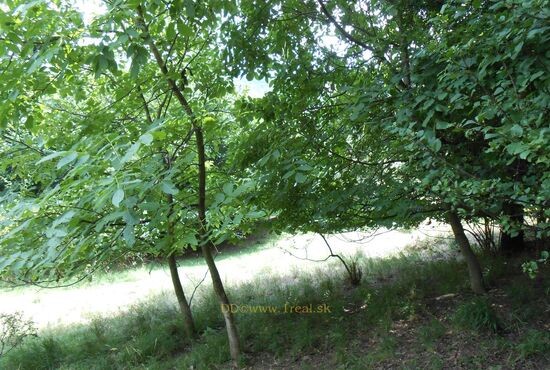 Pozemok, Horné Pršany [392]