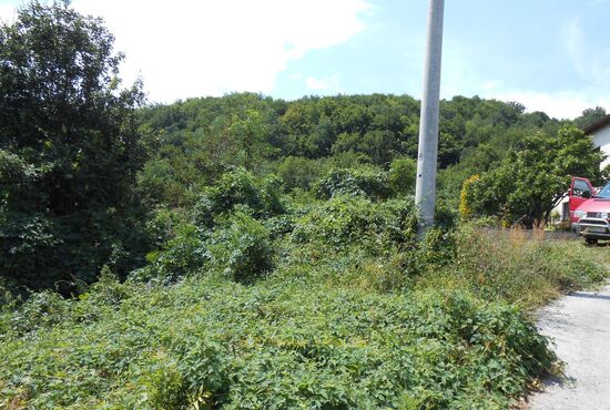 Pozemok, Horné Pršany [392]