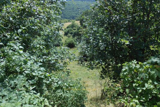 Pozemok, Horné Pršany [392]