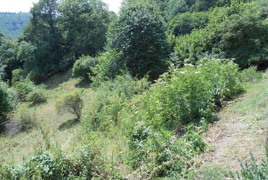 Pozemok, Horné Pršany [392]