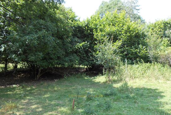 Pozemok, Horné Pršany [392]