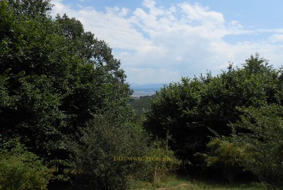 Pozemok, Horné Pršany [392]