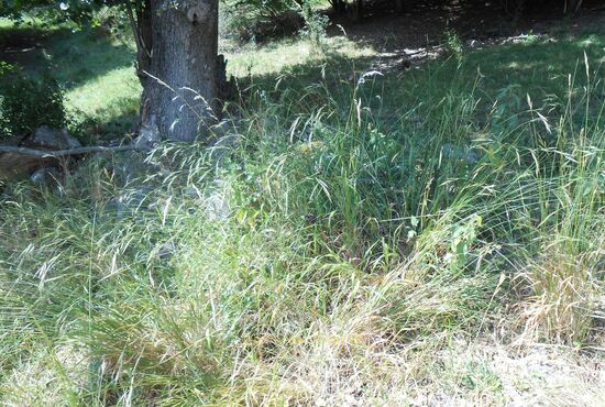 Pozemok, Horné Pršany [392]