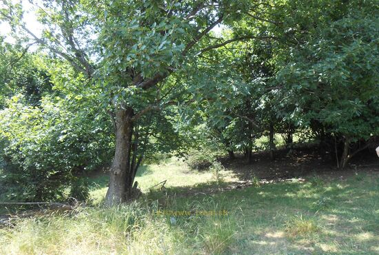 Pozemok, Horné Pršany [392]