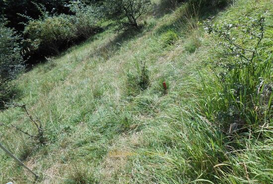 Pozemok, Horné Pršany [392]