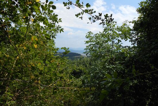 Pozemok, Horné Pršany [392]