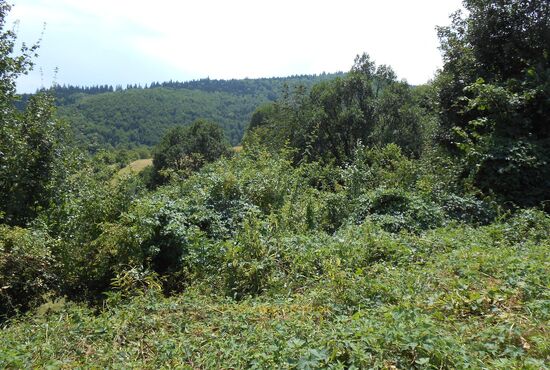 Pozemok, Horné Pršany [392]