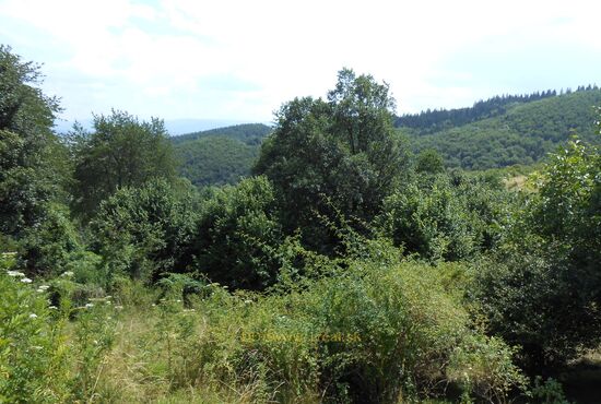 Pozemok, Horné Pršany [392]