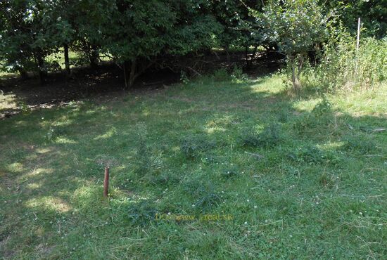 Pozemok, Horné Pršany [392]