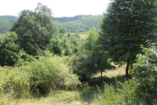 Pozemok, Horné Pršany [392]