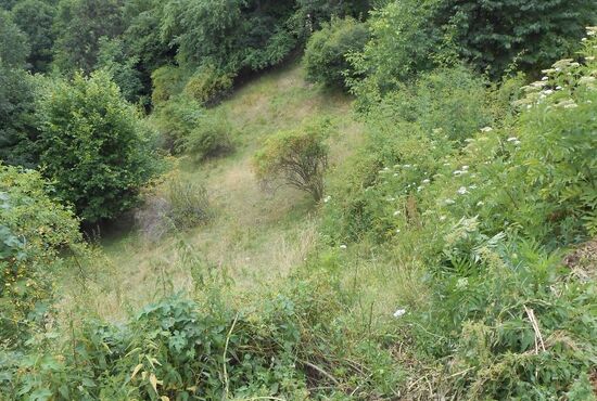 Pozemok, Horné Pršany [392]